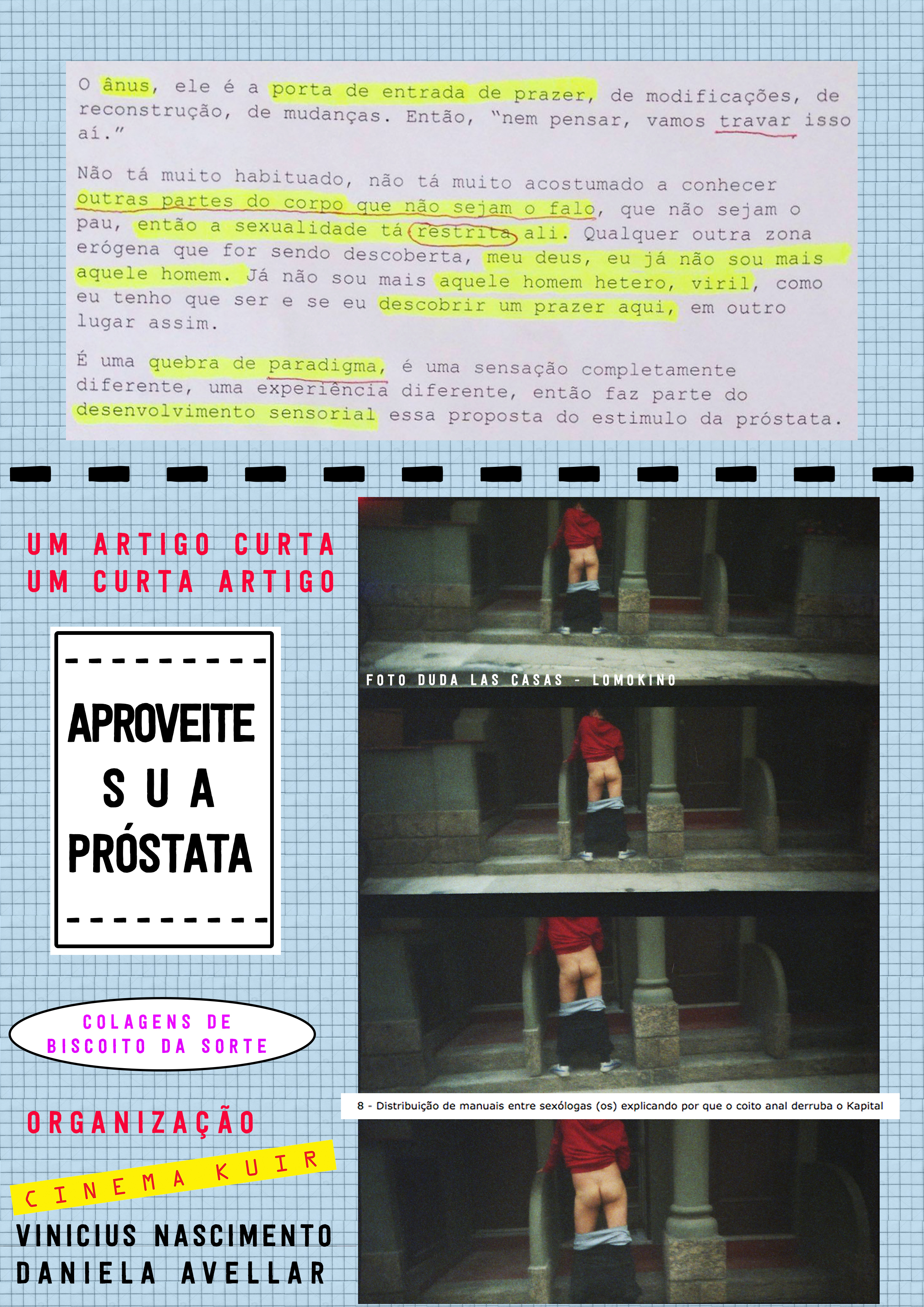 Aproveite Sua Próstata: um Curta-Artigo