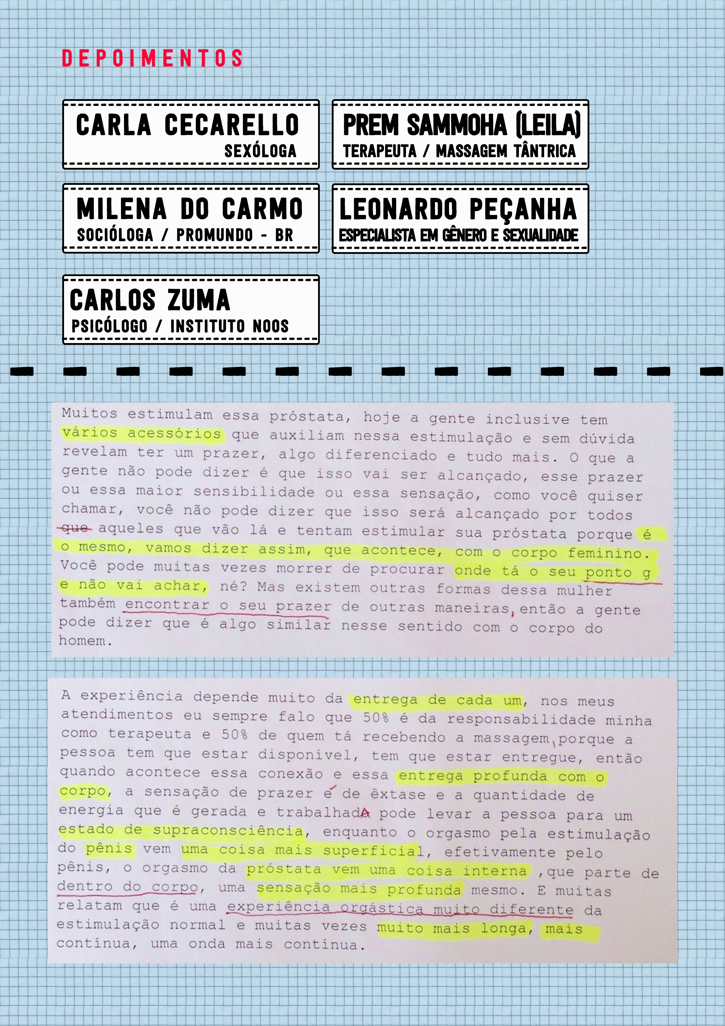 Aproveite Sua Próstata: um Curta-Artigo